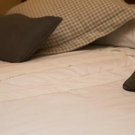 Pensionat Casa Rosita 3*