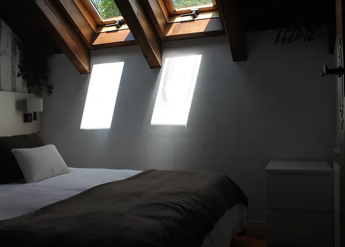 Pensionat Casa Rosita 3*