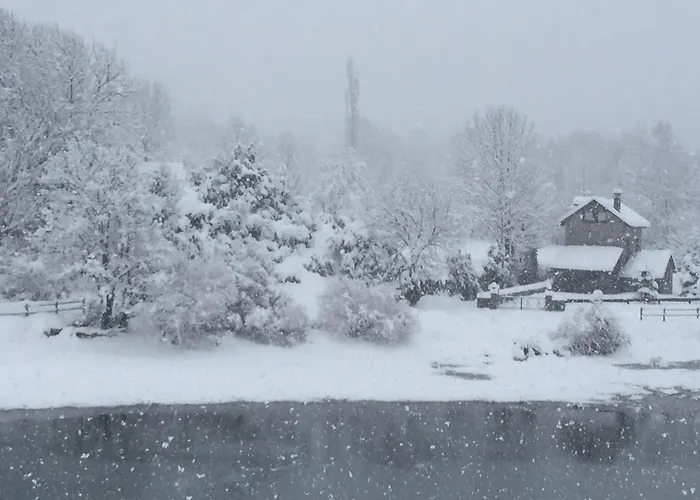 Casa Rosita Pensionat 3*